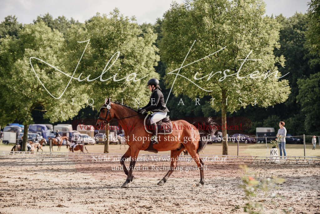 DSC_8500 | Pferde- und Turnierfotografie in Westsachsen. Pferdeportraits, Auftragszeichnungen und intuitive Kunst.