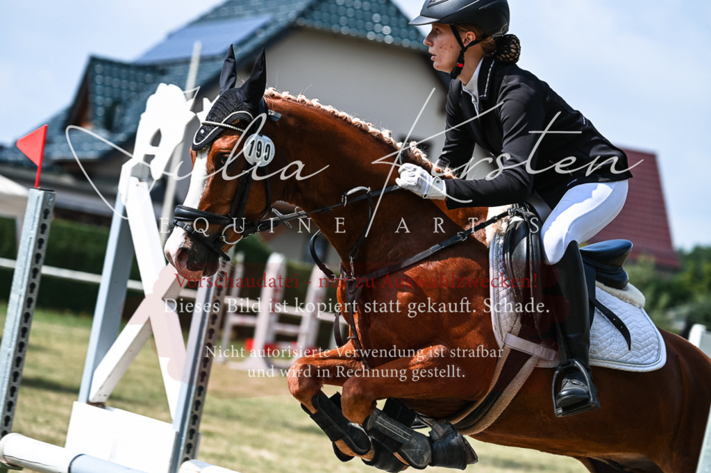 DSC_8723 | Pferde- und Turnierfotografie in Westsachsen. Pferdeportraits, Auftragszeichnungen und intuitive Kunst.
