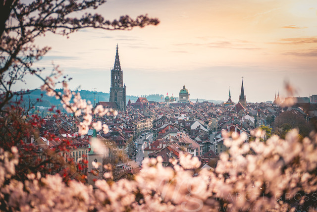Abendstimmung über Berner Altstadt während der Kirschblüte | Die ideale Geschenkidee für Naturliebhaber. Naturbilder von Marcel Gross Photography für ihr Zuhause in den verschiedensten Formaten und Materialien. - Realizado com Pictrs.com
