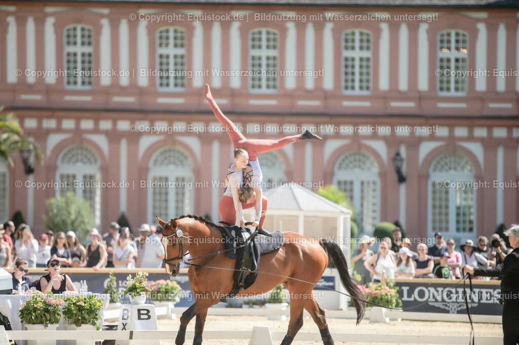 20230528_Voltigieren_NASPA_0394 | equistock