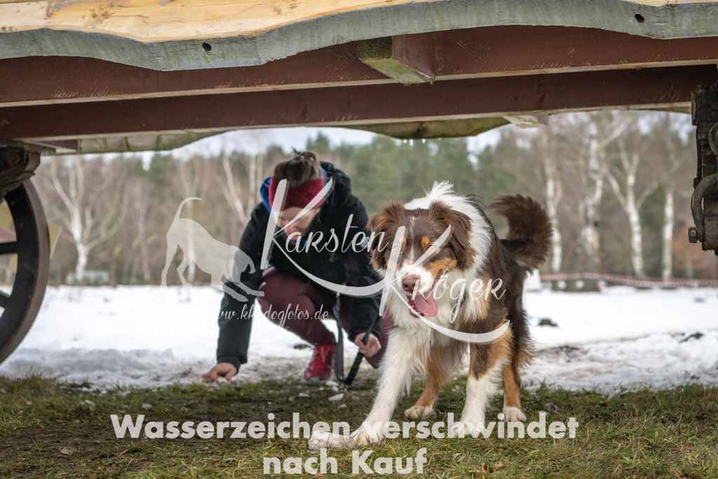 0936_ZZ90935 | kk-dogfotos