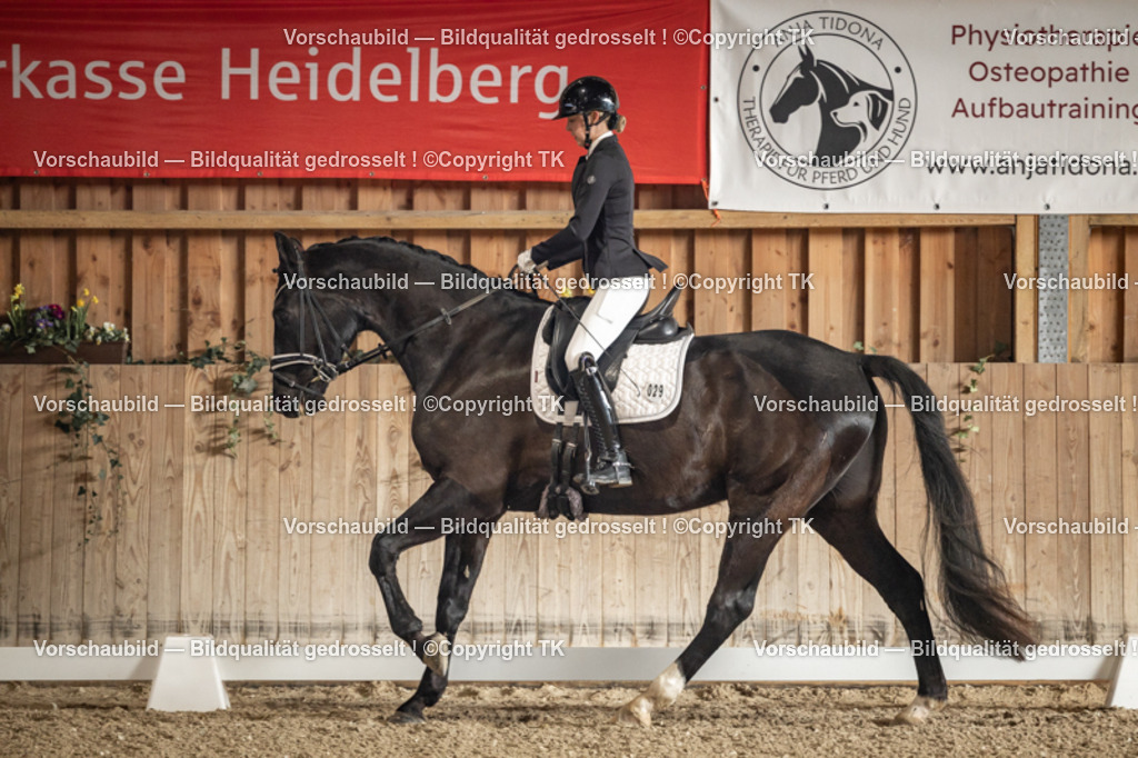 _D5A1051 | Emotionale Pferde- & People-Fotografie rund um Heidelberg, Leimen & Umgebung. Natürliche Fotos von Pferd, Mensch & Familie. Jetzt Termin sichern!