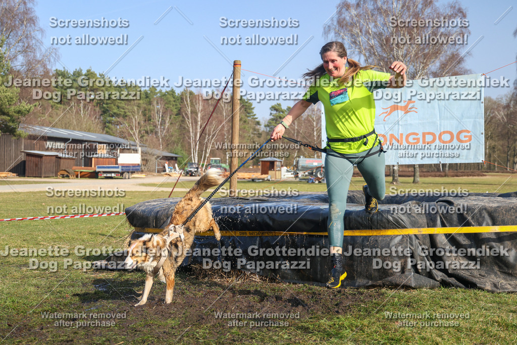 Dog Paparazzi - Strongdog North Mrz26-3021 | Dog Paparazzi Jeanette Grottendiek Fotografie & Videografie - Realisiert mit Pictrs.com