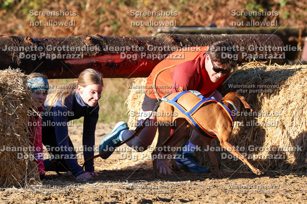 Dog Paparazzi - Strongdog 10-25-1242 | Dog Paparazzi Jeanette Grottendiek Fotografie & Videografie - Realisiert mit Pictrs.com