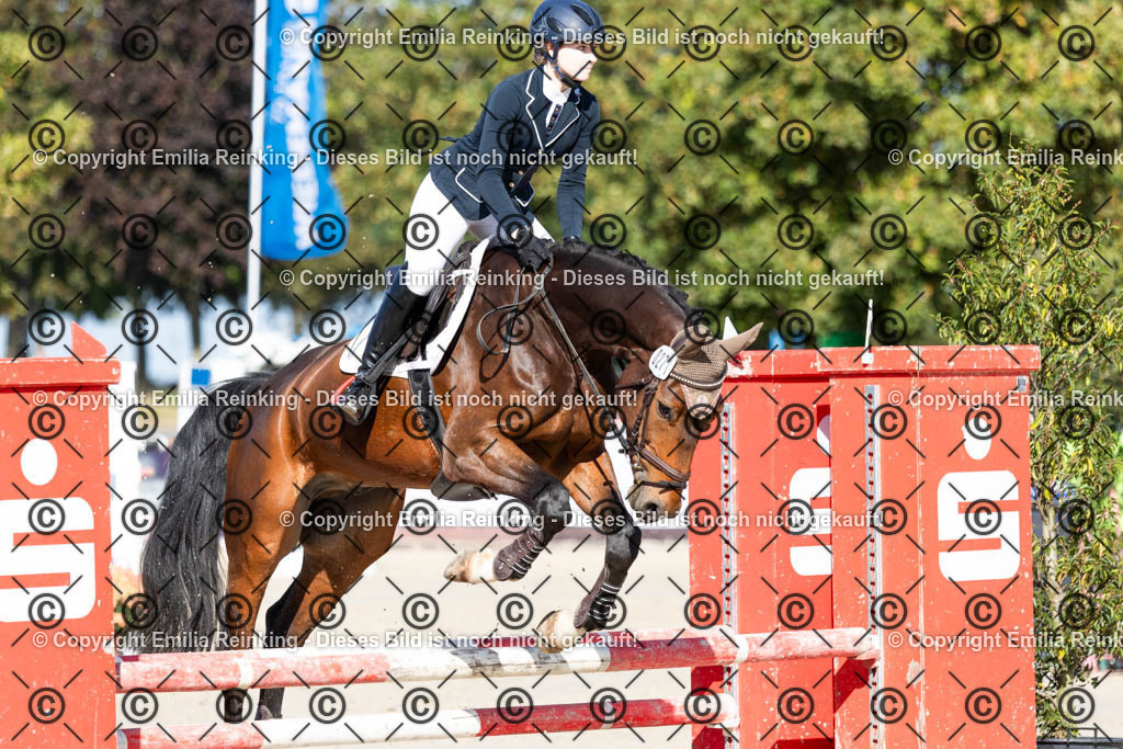 CL5A4136 | Emilia Reinking Fotografie - Realisiert mit Pictrs.com