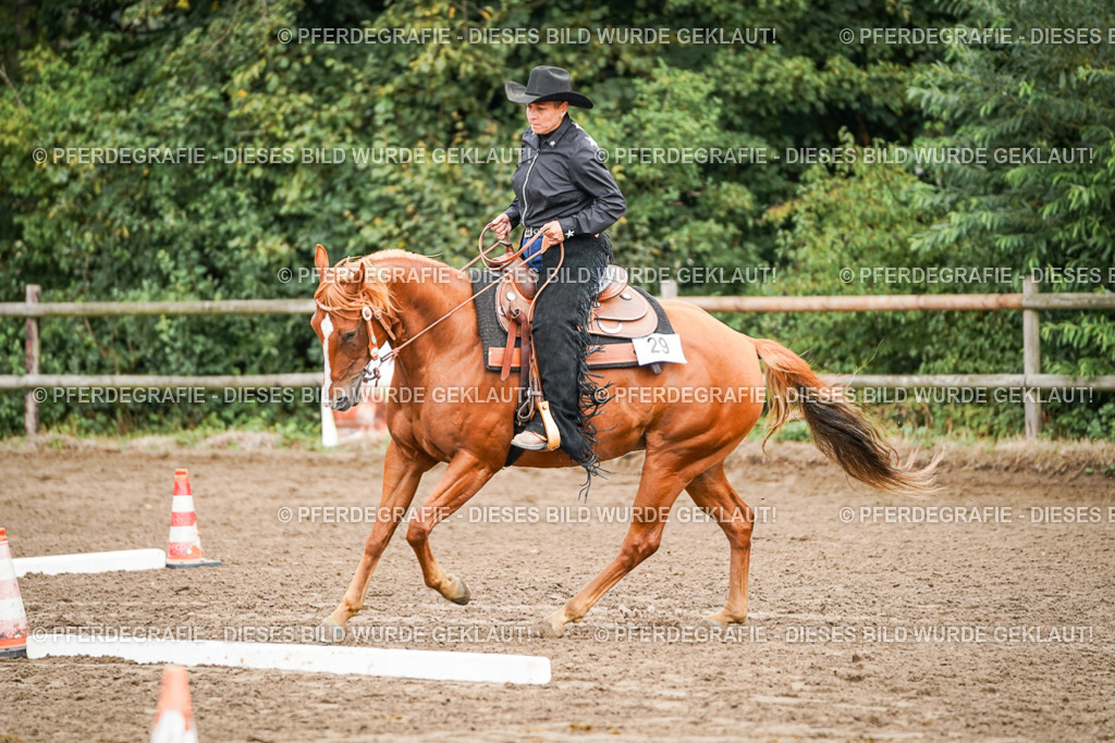 DSC03571 | Pferdegrafie