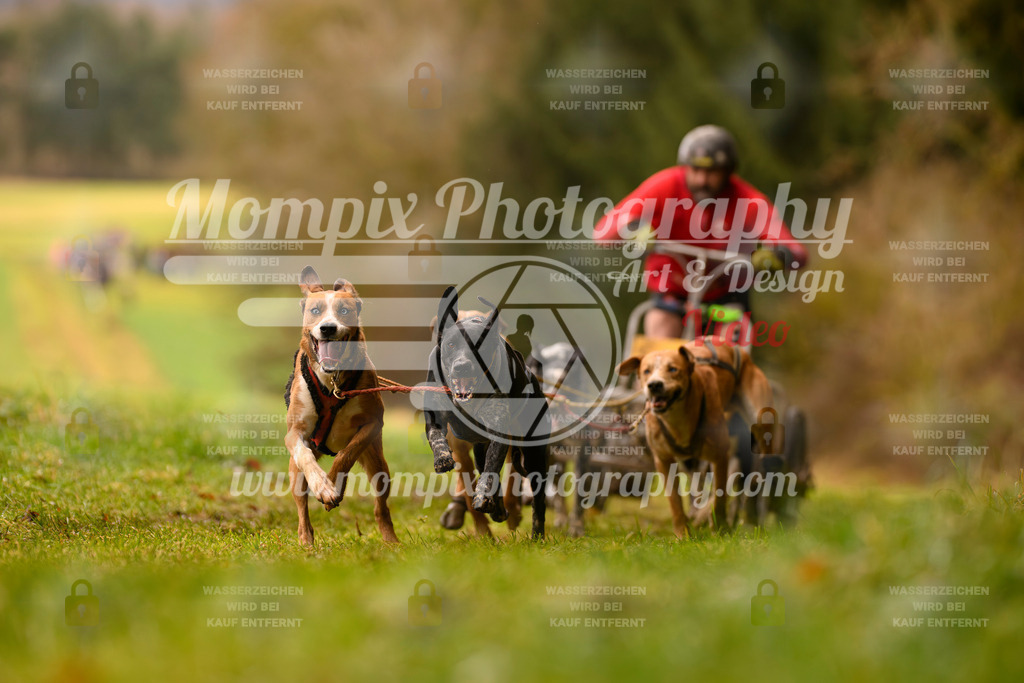 MompixPhotography_2SSTSSBW_2025_SO_Kart-2 | PayLife