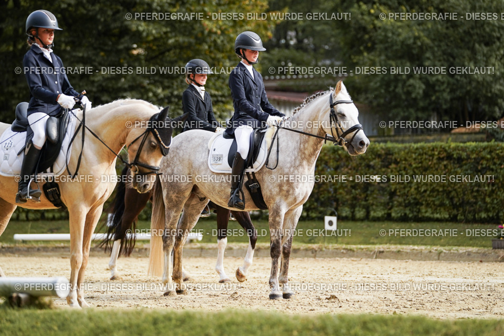 DSC04841 | Pferdegrafie