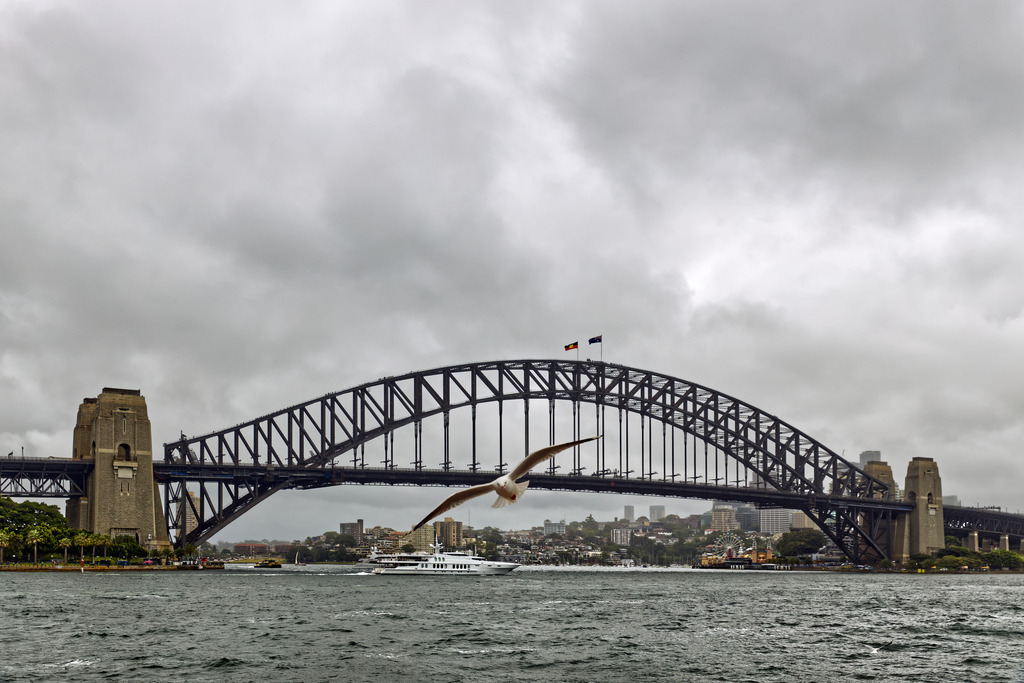 1H5A5151 | ansichtssache