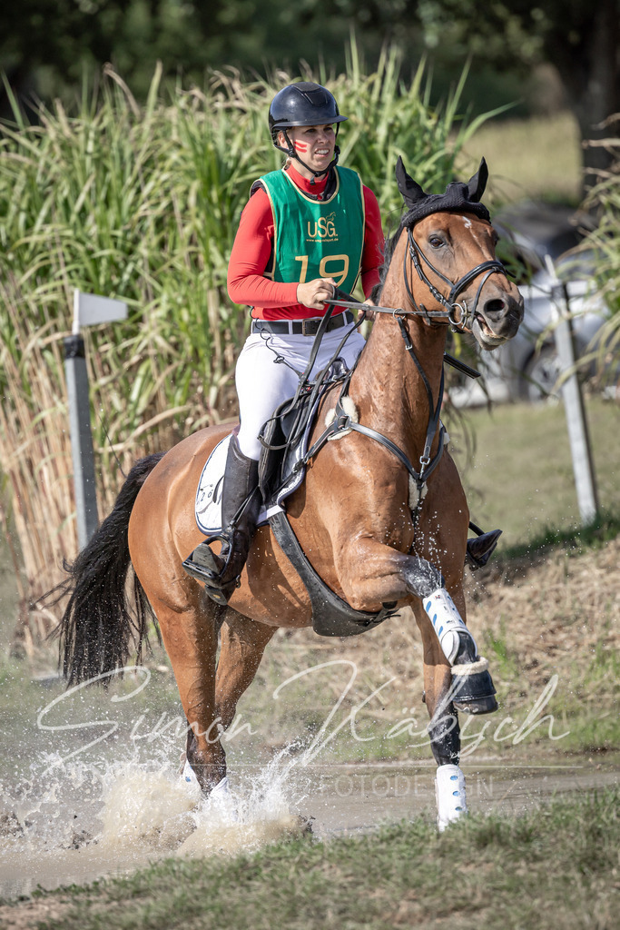 20250907-_3LI2023 | Tierfotografie Pferde, Hunde, Katzen, Haustiere.
Turnierfotografie Reitturniere, Reiten, Springreiten, Dressur in Hanau, dem Main-Kinzig-Kreis und dem Rhein-Main- Gebiet um Frankfurt