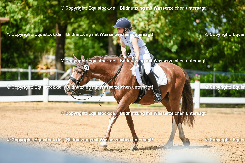 20230716_01_Dressurprüfung Kl.M_0278 | equistock