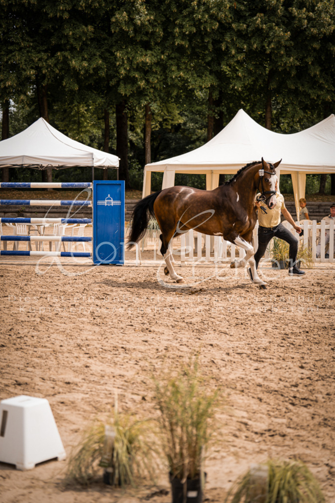 3.Fr00219 | Leoni Ertmer Photography - Realisiert mit Pictrs.com