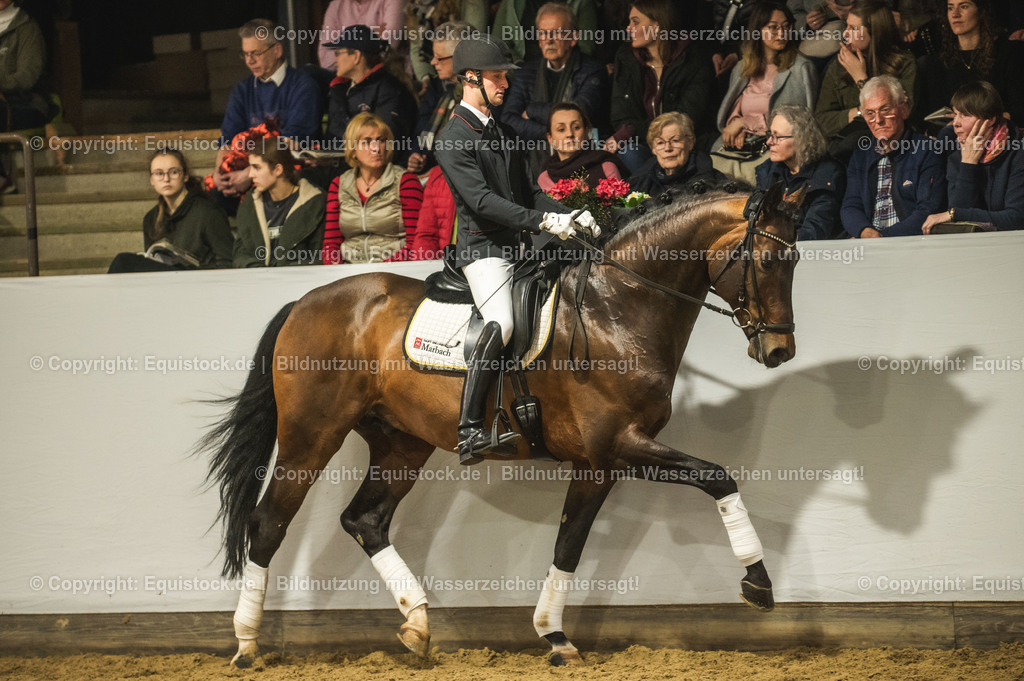 20240302_Hengstvorstellung_Marbach_TOMsPiC_1255-2 | equistock