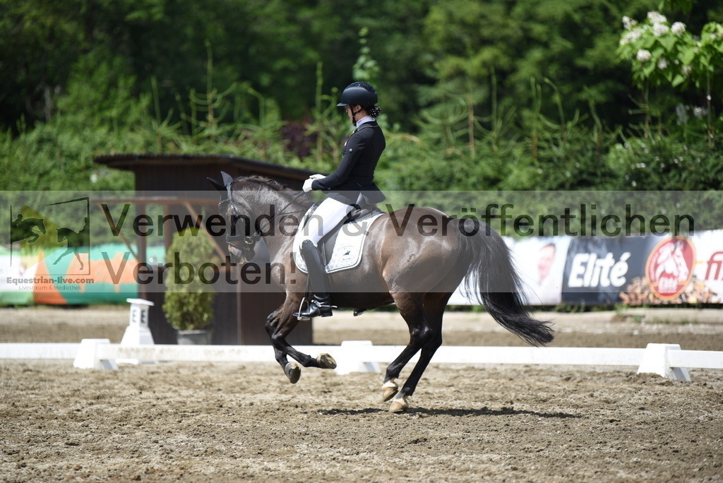 DSC_1462 | equestrian-live-com