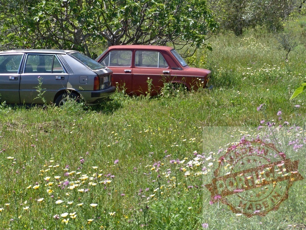 Two abandoned cars resting in a field of wildflowers | Two old cars are overgrown with weeds and wildflowers in a field - Realized with Pictrs.com