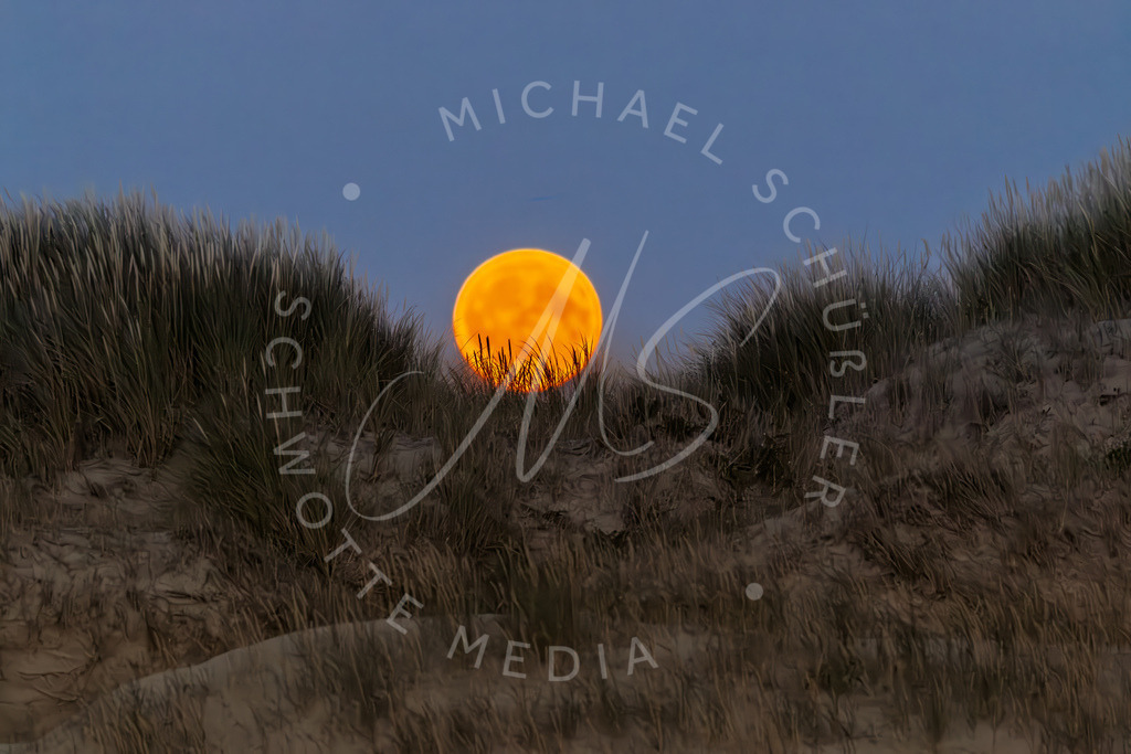 2025-08-08 SPO Mondaufgang 005 | Schwotte Media - Realisiert mit Pictrs.com