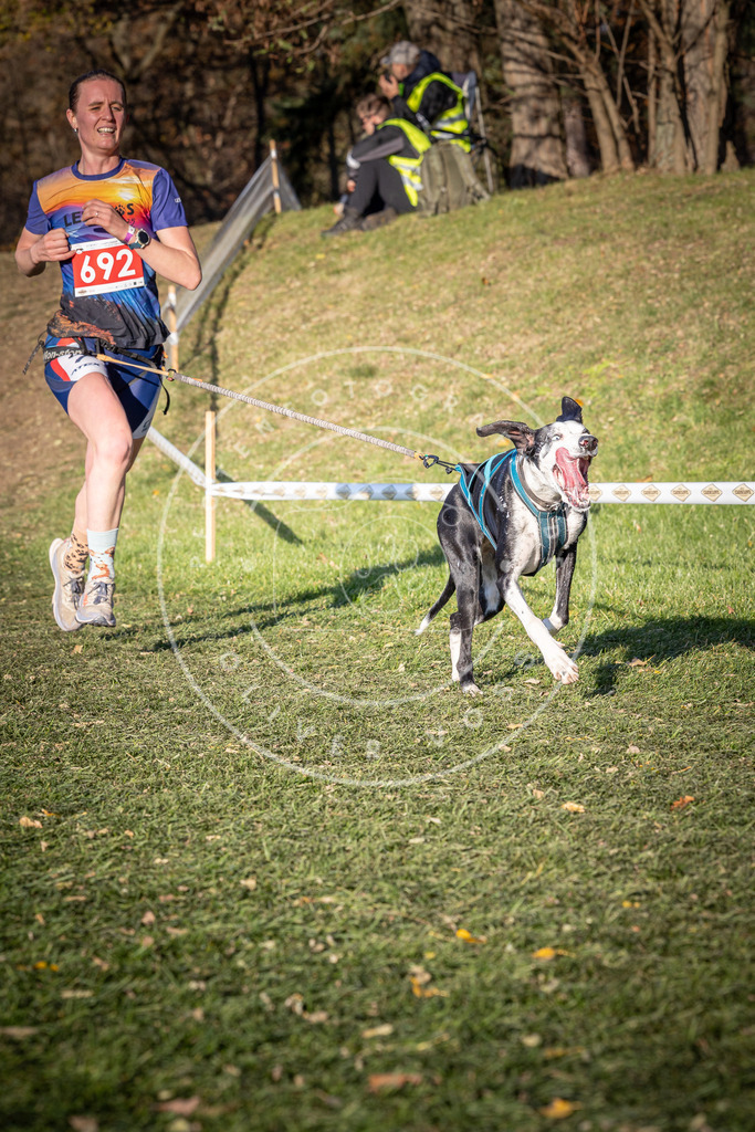 CaniXpix_0L8A9377 | Hundefotografie, Tierfotograf, Pfotenfotografie, Fotoshooting Hund, Hunde Portrait, Hundesport, Hundeportraits, Heideshooting, Hunde, Sportfotograf, Hundefotograf, Turnierhundsport, THS,  - Realisiert mit Pictrs.com