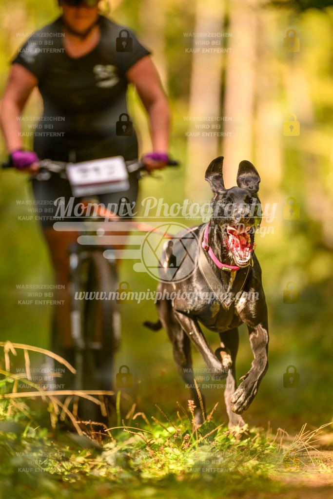 MompixPhotography_Yens2025_B2-99 | PayLife