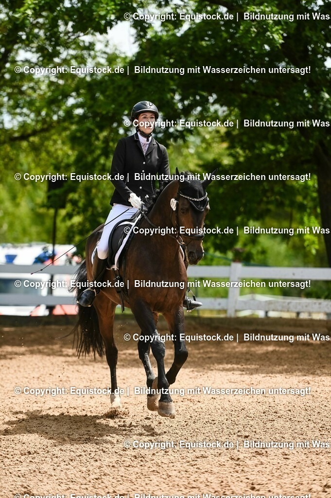 20230716_03_Dressurprfg. Kl.L - Tr._0575 | equistock