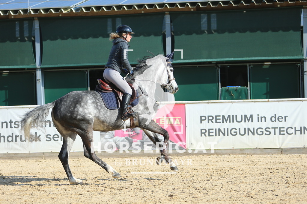 DL2Q2158 | Willkommen bei Brunnmayr - Design & Fotografie – Ihrem Spezialisten für Reitturniere und Pferdeveranstaltungen in Oberösterreich, Salzburg und Bayern! Seit über 17 Jahren sind wir leidenschaftlich dabei.