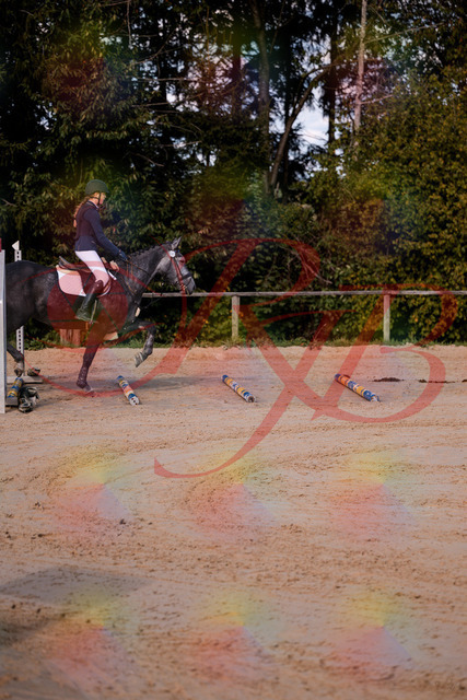 2026_10_03_Siefer-Hof_144829_Z81_25764653 | Professionelle Reitsport-, Turnier- und Eventfotografie von Robert Broda. Galerien mit ausgewählten und bearbeiteten Bildern direkt online ansehen und bestellen.