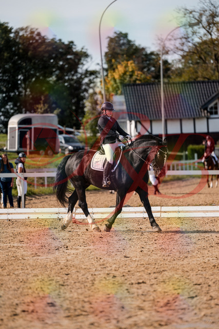 2026_10_03_Siefer-Hof_131745_Z63_79920248 | Professionelle Reitsport-, Turnier- und Eventfotografie von Robert Broda. Galerien mit ausgewählten und bearbeiteten Bildern direkt online ansehen und bestellen.