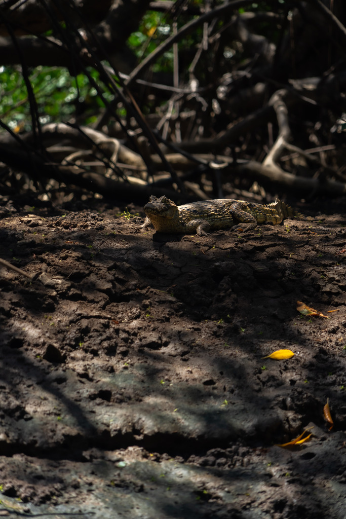 20251114-DeltaTour-0010 | paulependelt - Realisiert mit Pictrs.com