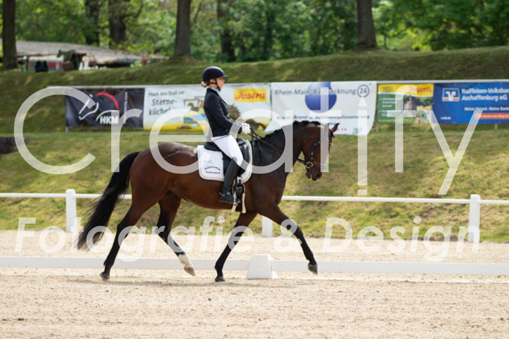 IMG_0454 | Creatify Fotografie