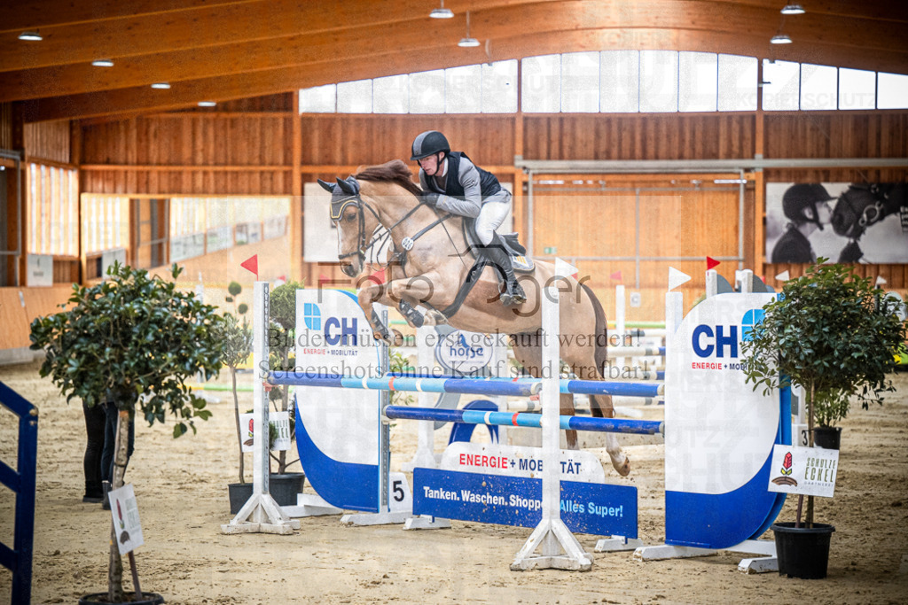 DOS_0659 | Entdecke hochwertige Reitturnierfotos von Foto Oger. Professionell, emotional und authentisch – jetzt Lieblingsmomente im Shop bestellen.Deutschlandweite Turnierfotografie. - Realisiert mit Pictrs.com