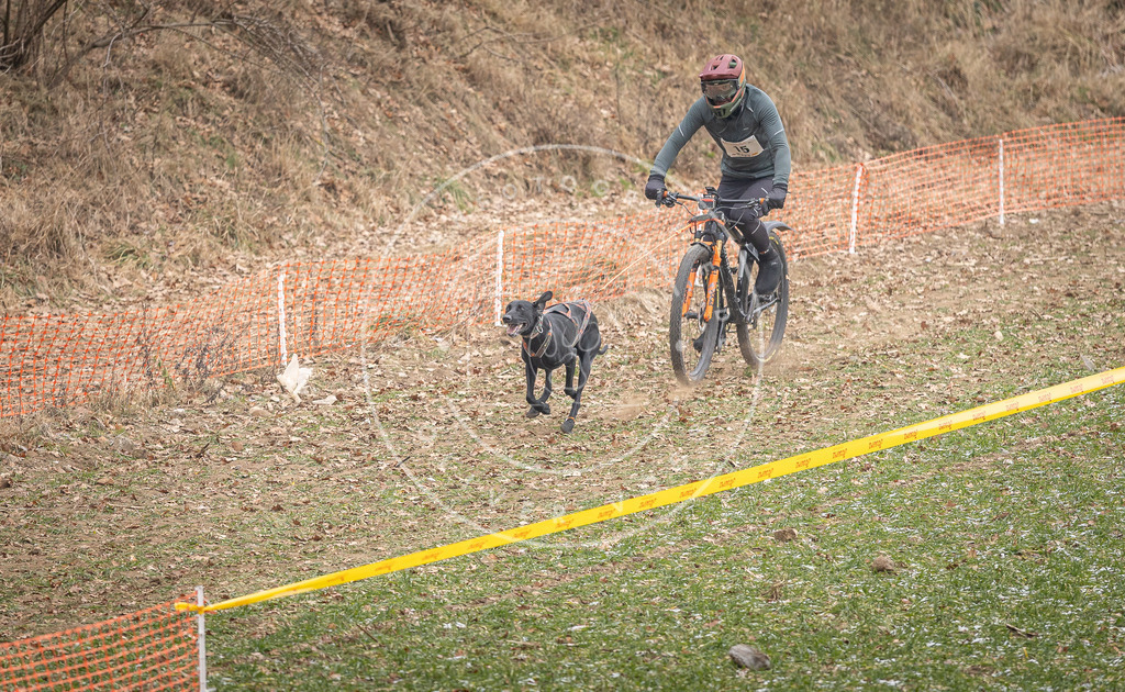 Pfotenfotografie_DV3A6845 | Hundefotografie, Tierfotograf, Pfotenfotografie, Fotoshooting Hund, Hunde Portrait, Hundesport, Hundeportraits, Heideshooting, Hunde, Sportfotograf, Hundefotograf, Turnierhundsport, THS,  - Realisiert mit Pictrs.com
