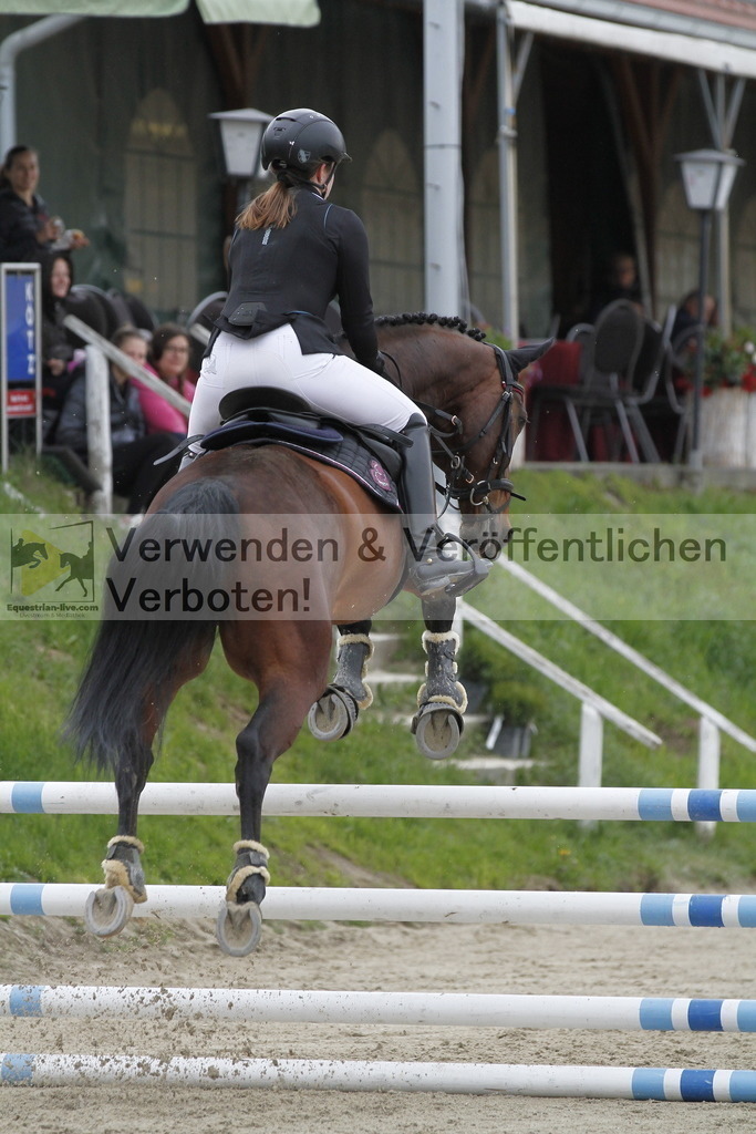_MG_3021 | equestrian-live-com