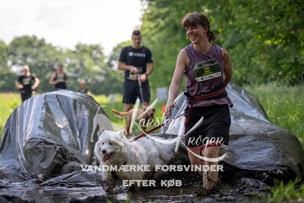 1154_ZZ90171 | kk-dogfotos