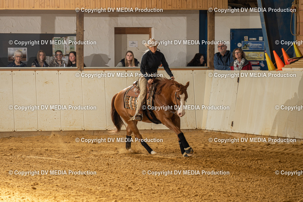 MIT01043 | dv-media-shop - Realisiert mit Pictrs.com