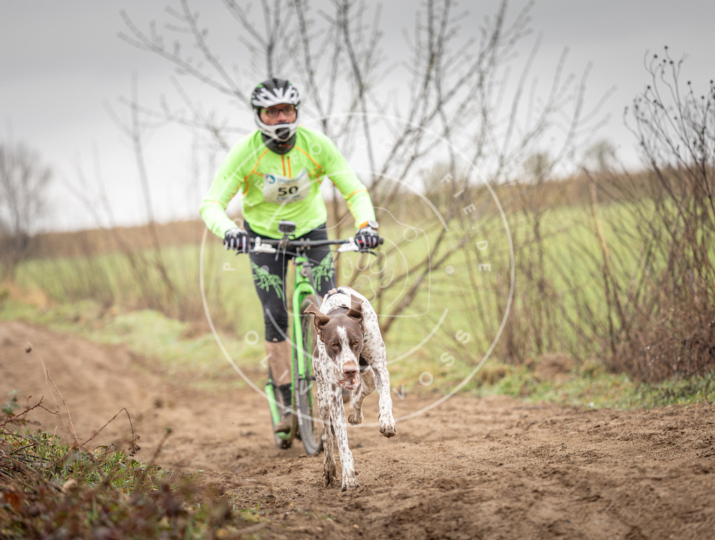 DV3A9232 | Hundefotografie, Tierfotograf, Pfotenfotografie, Fotoshooting Hund, Hunde Portrait, Hundesport, Hundeportraits, Heideshooting, Hunde, Sportfotograf, Hundefotograf, Turnierhundsport, THS,  - Realisiert mit Pictrs.com