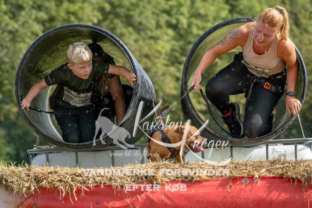 1117_ZZ93851 | kk-dogfotos