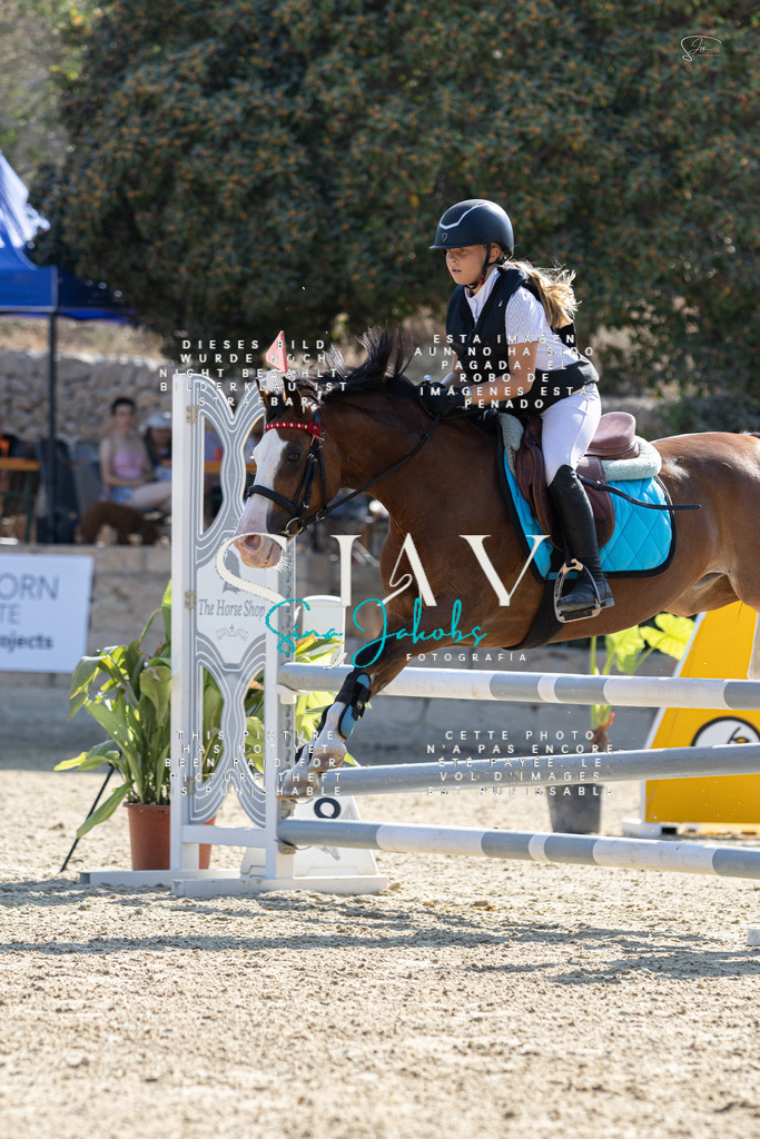 IMG_4900 | s-jay-photography - Realisiert mit Pictrs.com