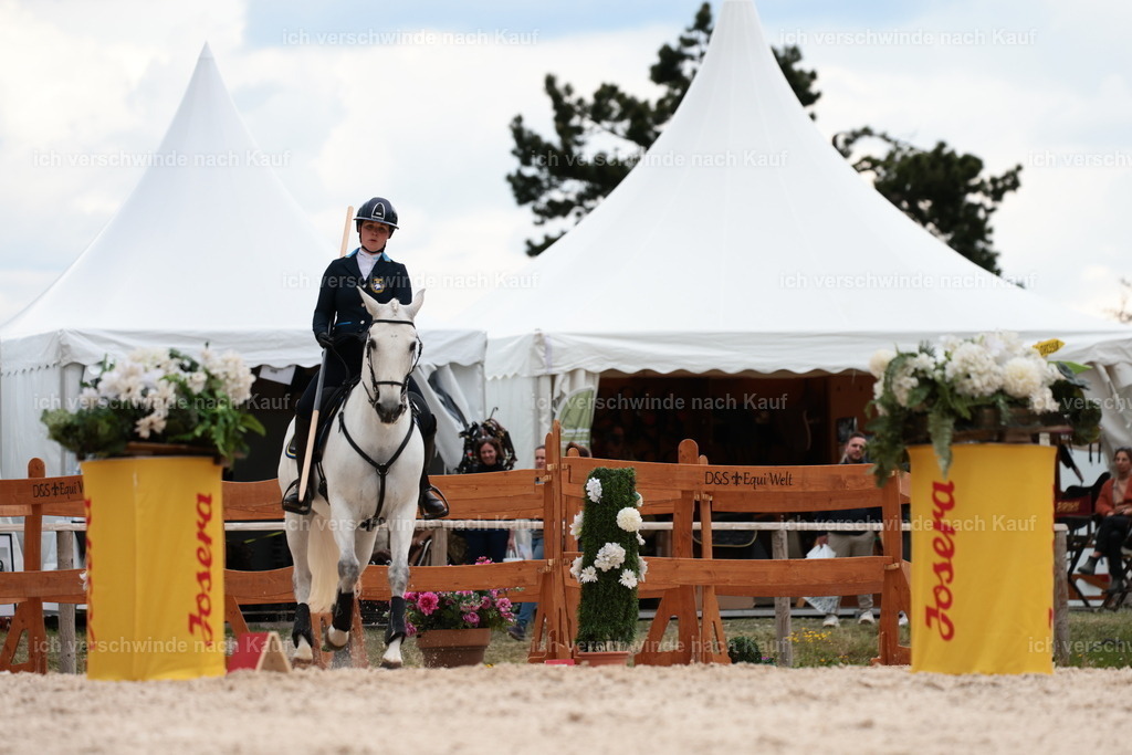 PI26_ST_StoibphotographyC2_L9047.JPG | working equitationturnier fotograf videograf stoibphotography marixx film working equitation deutschland reitsport turnierfotografie eventfotografie equestrian events