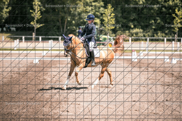 _W6A5889 | ronjaprokoschfotografie - Realisiert mit Pictrs.com