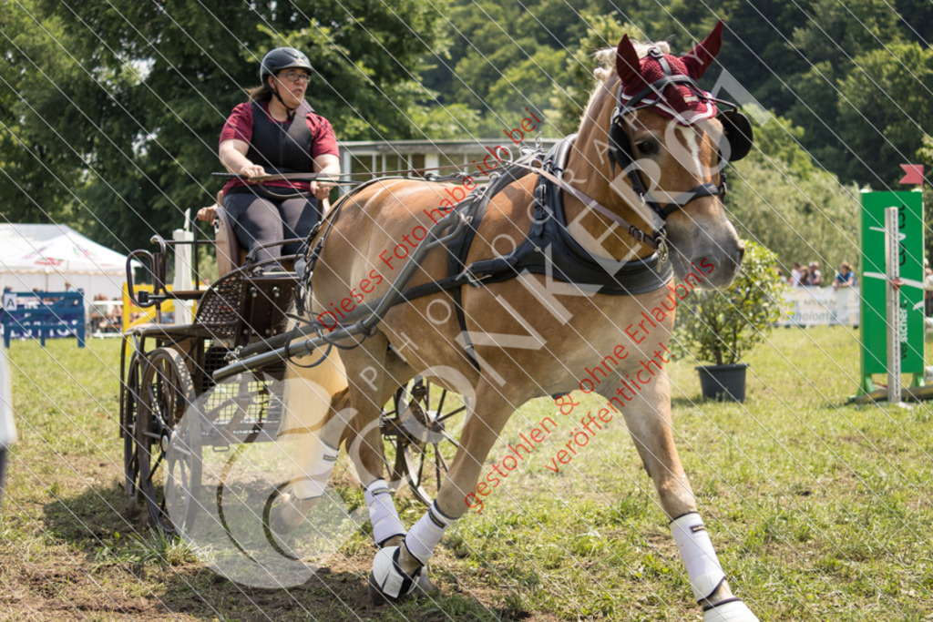 IMG_8001 | Sport-, Event- und Tierfotos in Profiqualität. Einfach auswählen, bestellen und herunterladen. Dein Moment – perfekt festgehalten.