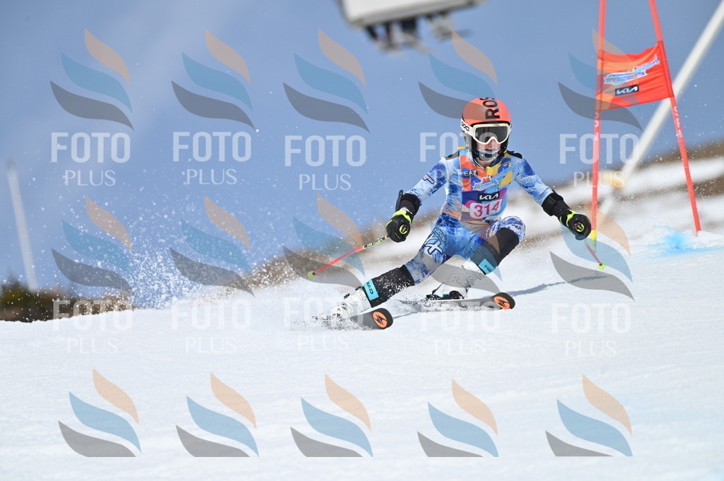 BGV_3018 | holidayphoto