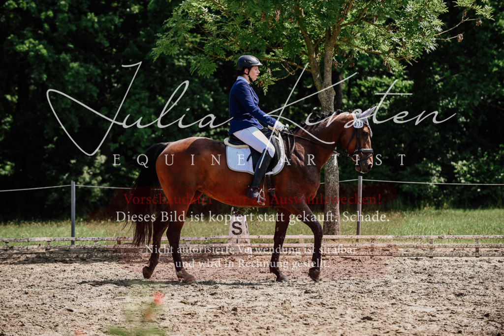 DSC_1210 | Pferde- und Turnierfotografie in Westsachsen. Pferdeportraits, Auftragszeichnungen und intuitive Kunst.
