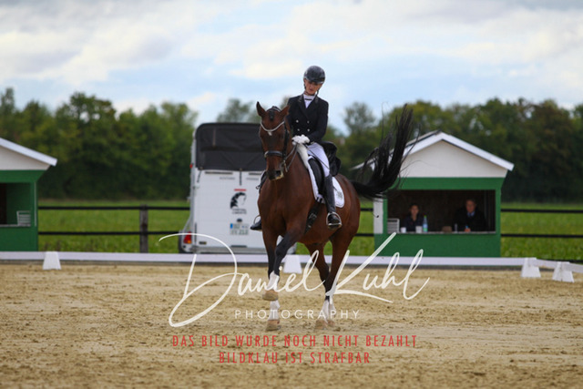 DKP44643 | Turniersportfotografie; Pferdefotografie; Dressurfotografie