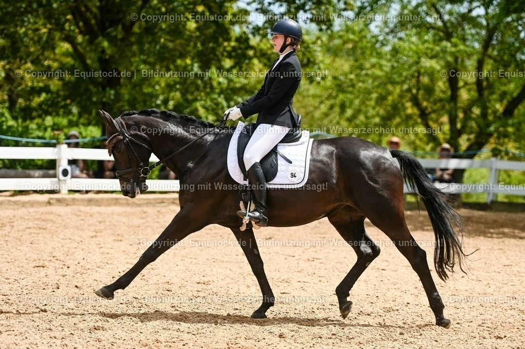 20230715_05_Dressurprüfung Kl.A++_0375 | equistock