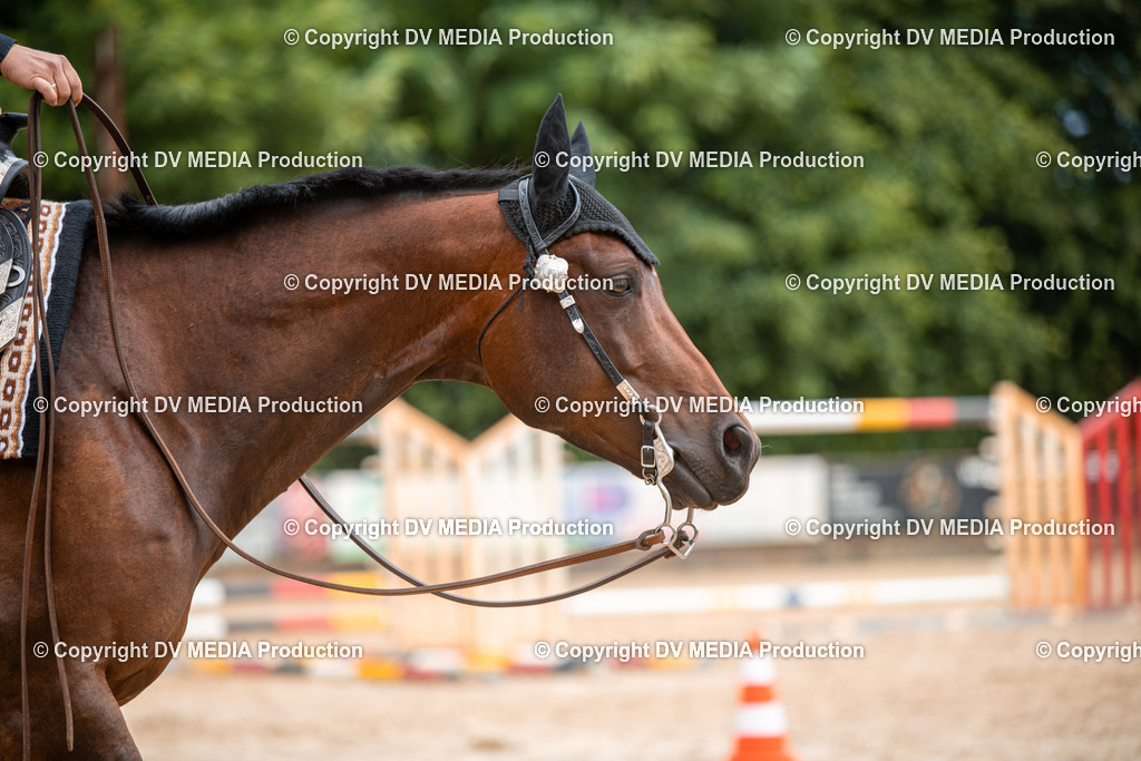 ZS2_7979 | dv-media-shop - Realisiert mit Pictrs.com