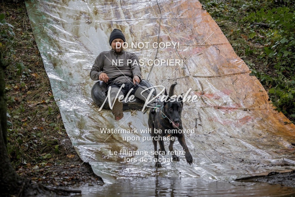 nelerasche_Hunsrück_Sa1430-1500_18-final | nelerasche
