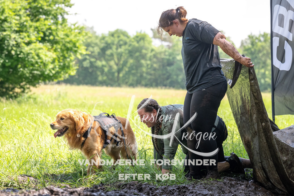 1159_ZZ90798 | kk-dogfotos