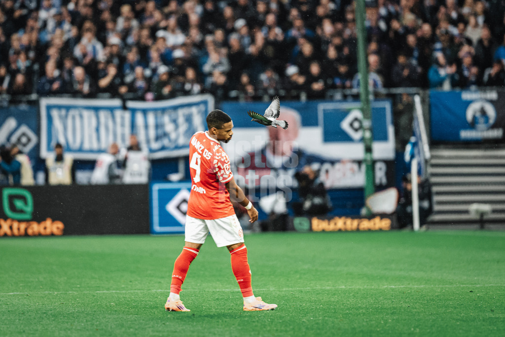 Fußball | Männer | Saison 2025/2026 | 1. Fußball-Bundesliga | 6. Spieltag | Hamburger SV vs. 1. FSV Mainz 05 | 05.10.2025 | Arnaud Nordin (#9, 1. FSV Mainz 05) weicht einer Taube aus