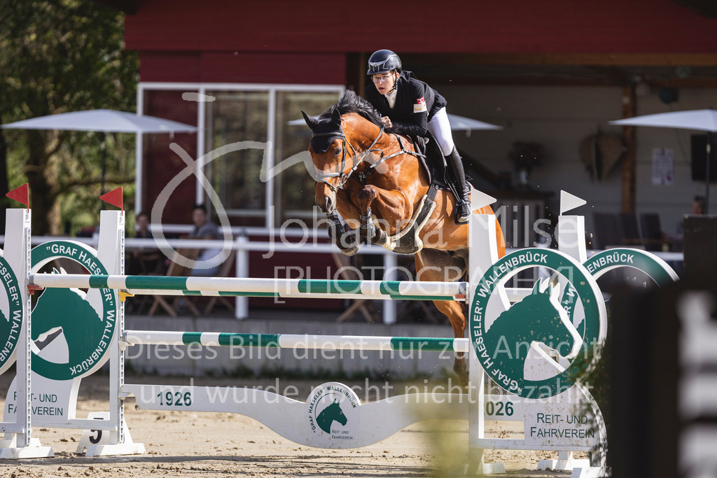 260503_Spenge_7_M2-Spr-m-steig-Anf-729 | Deine schönsten Turniermomente als professionelle Fotos! Entdecke hochwertige Pferdesport-Fotografie im Online-Shop. Jetzt Fotos finden & bestellen!