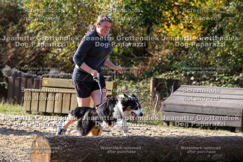 Dog Paparazzi - Strongdog 10-25-6009 | Dog Paparazzi Jeanette Grottendiek Fotografie & Videografie - Realisiert mit Pictrs.com