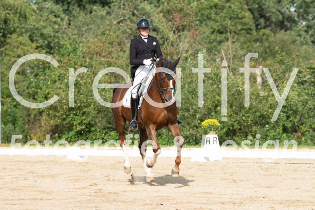 IMG_3952 | Creatify Fotografie